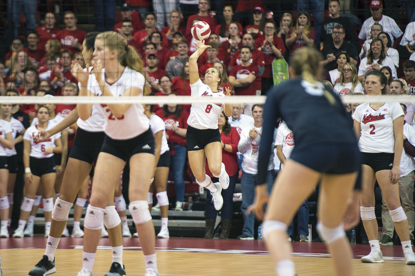 NU volleyball vs. Penn State, 11/02